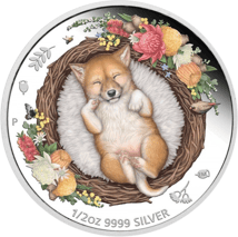 1/2 Unze Silber Dreaming Down Under 2021 PP Dingo (Auflage: 5.000 | Polierte Platte)