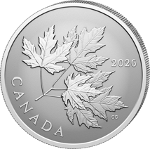1/2 Unze Silber Gleaming Maple Leaves 2026 (Auflage: 25.000 | Reverse Proof)