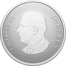 1/2 Unze Silber Kanada Welcome to the World 2026 (Auflage: 25.000 | Reverse Proof)