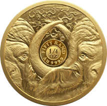 1/4 Unze Gold Big Five II Büffel 2023 (Auflage: 2.000 | Polierte Platte)
