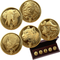 5 x 1 Unze Gold Big Five I Prestige-Set 2021 (Auflage: 50 | Polierte Platte)