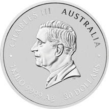 1 kg Silber Lunar III Pferd 2026