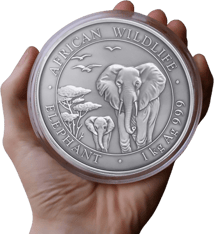 1 kg Silber Somalia Elefant 2015 (Antique Finish | Auflage: 200)