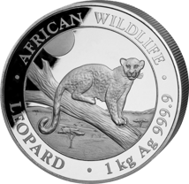 1 kg Silber Wildlife Leopard 2021 (Auflage: 500)
