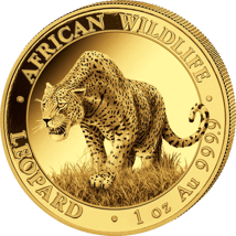 1 Unze Gold African Wildlife Somalia Leopard 2023 (Auflage: 1.000)