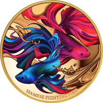 1 Unze Gold Siamesischer Kampffisch 2024 PP (Auflage: 99 | Polierte Platte | coloriert)