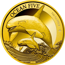 1 Unze Gold Ocean Five Orca 2024 PP (Auflage: 100 | Polierte Platte | Zertifikat Nr. 99)