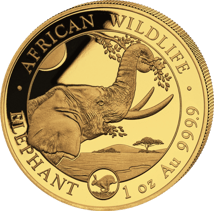 1 Unze Gold Somalia Elefant 2023 PM Hase (Auflage: 100 | Privymark)