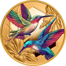 1 Unze Gold Kolibri 2026 (Auflage 50 | Polierte Platte)