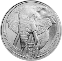 1 Unze Platin Big Five II Elefant 2023