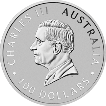 1 Unze Platin Känguru Nugget 2026