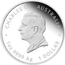 1 Unze Silber Pillar Dollar 225. Jubiläum Proclamation Coin 2025 (Auflage: 5.000 | Polierte Platte)