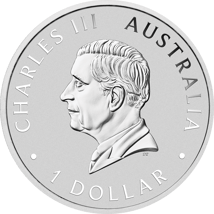 1 Unze Silber Australian Emu 2024 (Auflage: 2.500 | coloriert)