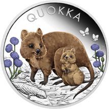 1 Unze Silber Australian Quokka 2022 PP (Auflage: 5.000 | coloriert | Polierte Platte)