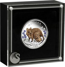 1 Unze Silber Australian Quokka 2022 PP (Auflage: 5.000 | coloriert | Polierte Platte)