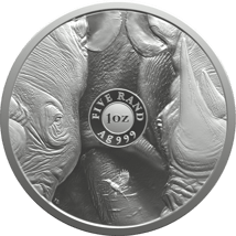 1 Unze Silber Big Five III Nashorn 2025 (Auflage: 20.000 | Coincard)