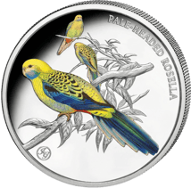 1 Unze Silber Blasskopfsittich John Gould Privy Mark 2026 (Auflage: 750 | Polierte Platte)