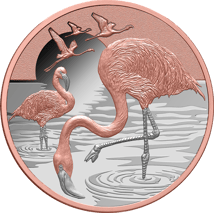 1 Unze Silber Flamingo 2025 (Auflage: 600 | Rosegold | Polierte Platte)