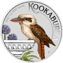 1 Unze Silber Kookaburra 2022 WMF (Auflage: 1.500 | coloriert)