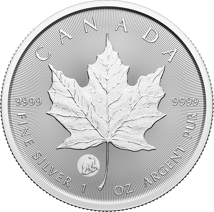 1  Unze Silber Maple Leaf 2024 Privy Mark Polarbär (Auflage: 25.000)