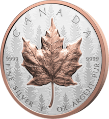 1 Unze Silber Maple Leaf 2025 (Auflage: 8.500 | High Relief | teilvergoldet | Reverse Proof)