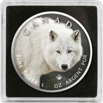 1 Unze Silber Maple Leaf Polarwolf 2021 (Auflage:500 | coloriert)