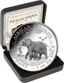 1 Unze Silber Somalia Elefant 2022 Motiv (Auflage: 1.000 | Privymark: ANA | Jahrgang: 2021)