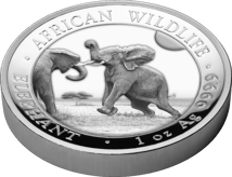 1 Unze Silber Somalia Elefant 2024 PP HR (Auflage: 1.000 | Polierte Platte | High Relief)