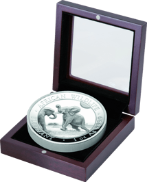 1 Unze Silber Somalia Elefant 2024 PP HR (Auflage: 1.000 | Polierte Platte | High Relief)