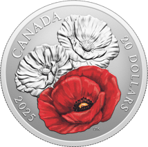 1 Unze Silber Remembrance Day 2025 (Auflage: 7.500 | Polierte Platte)