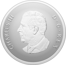 1 Unze Silber Remembrance Day 2025 (Auflage: 7.500 | Polierte Platte)