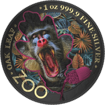 1 Unze Silber Zoo Mandrill 2019 (Auflage: 100 | gildet | coloriert)