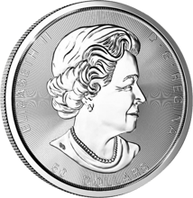 10 Unze Silber Maple Leaf 2019