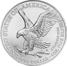 100 x 1 Unze Silber American Eagle 2023 (Typ II)