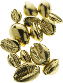 10g Goldbarren Cowrie Muschelbarren