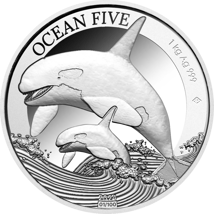 1kg Silber Ocean Five Orca 2024 PP (Auflage: 100 | Polierte Platte)