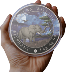 1kg Silber Somalia Elefant 2019 Limited Night Edition (Auflage: 100 Münzen)