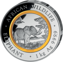 1kg Silber Somalia Elefant 2019 PP (Auflage: 300 | Polymer-Ring)