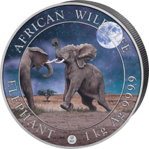 1kg Silber Somalia Elefant 2024 Giant Moon (Auflage: 100 | coloriert)