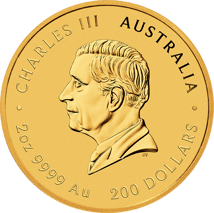 2 Unze Gold Lunar III Pferd 2026