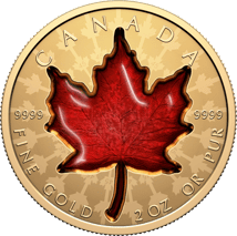 2 Unze Proud Maple Leaf 2024 (Auflage: 250 | Reverse Proof)