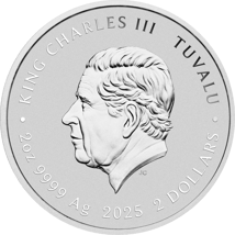 2 Unzen Silber Teenage Mutant Ninja Turtles Pizza 2025 (Auflage: 1.000 | Polierte Platte)