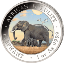 2 x 1 Unze Silber Somalia Elefant Tag & Nacht Set 2022 (Auflage: 500 | coloriert)