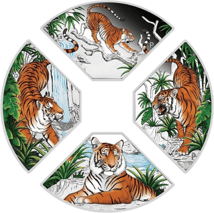 4 x1 Unze Silber Jahr des Tigers 2022 PP (Auflage:1.500 | coloriert | Polierte Platte)