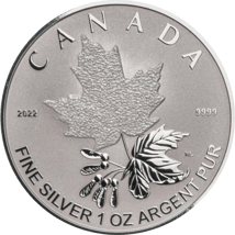 5 Münzen Silber Maple Leaf Fractional Set 2022 (Auflage: 3.000 | Reserve Proof)