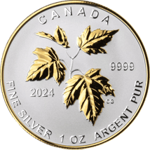 5 Münzen Silber Maple Leaf Fractional Set 2024 (Auflage: 3.000 | Reverse Proof)