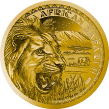 5 Unze Gold African Safari II Löwe 2024 PP (Auflage: 33 | Polierte Platte | Zertifikat Nr. 33)