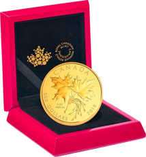 5 Unze Gold Maple Leaf 2018 PP (99 Exemplare)