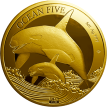 5 Unze Gold Ocean Five Orca 2024 PP (Auflage: 33 | Polierte Platte)