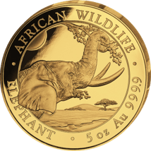 5 Unze Gold Somalia Elefant 2023 PP (Auflage: 50 | Polierte Platte)